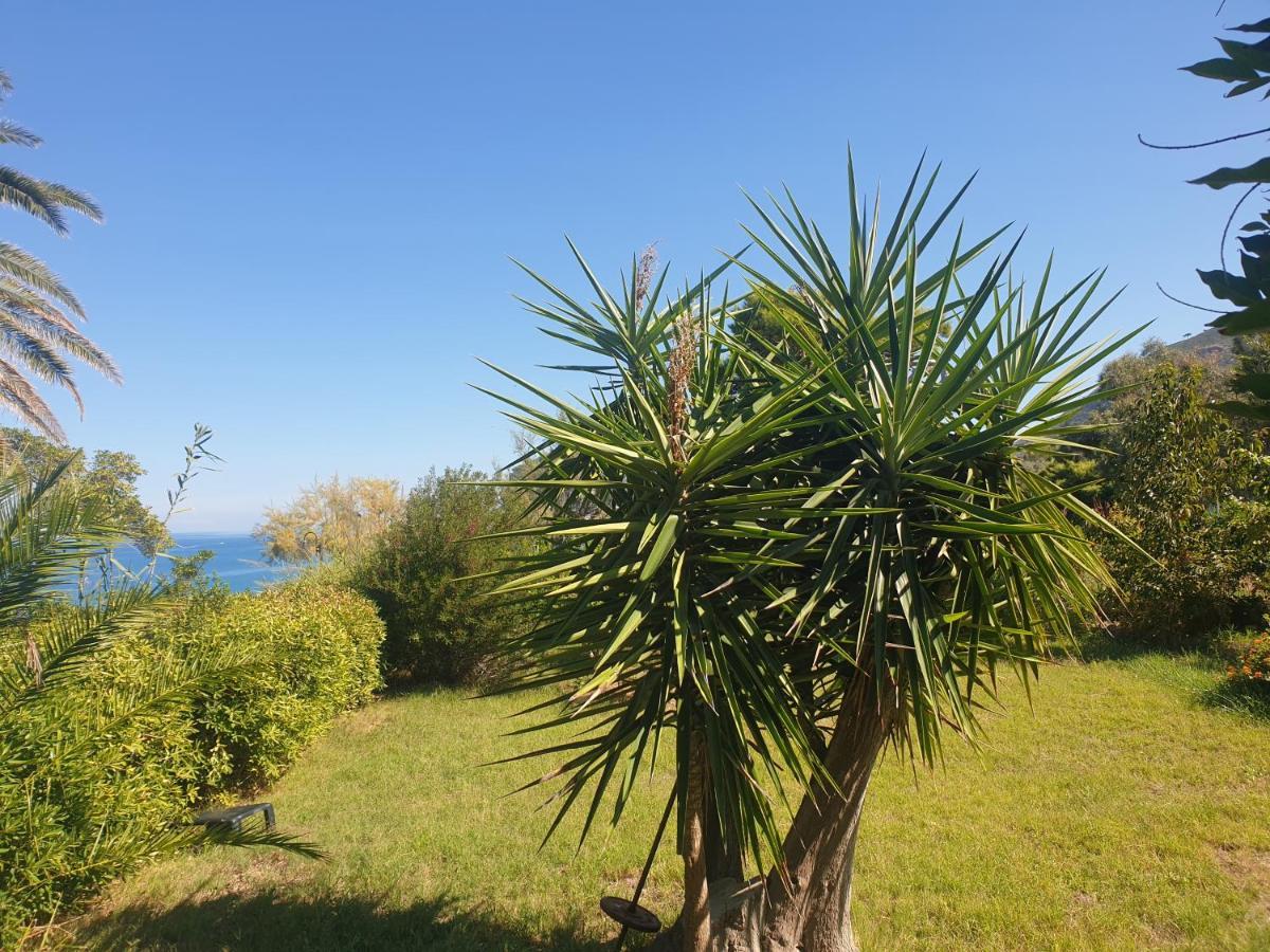 Willa La Terrazza Sul Mare Cefalù Zewnętrze zdjęcie